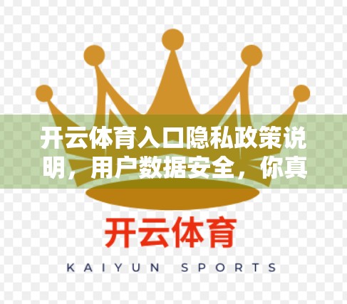 开云体育入口隐私政策说明，用户数据安全，你真的了解吗？