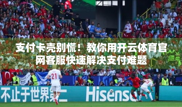 支付卡壳别慌！教你用开云体育官网客服快速解决支付难题