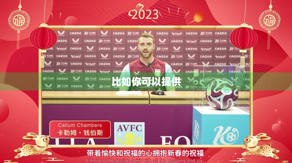 比如你可以提供