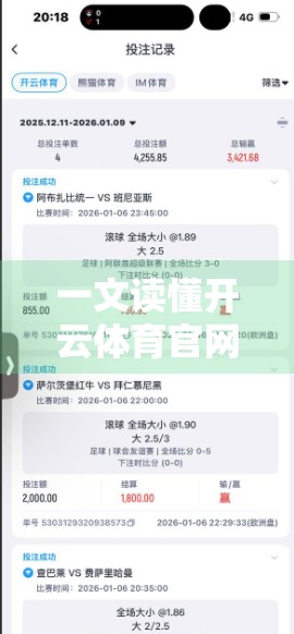 一文读懂开云体育官网登录入口网页版，新手必看的详细指南与避坑建议
