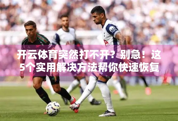 开云体育突然打不开？别急！这5个实用解决方法帮你快速恢复访问！