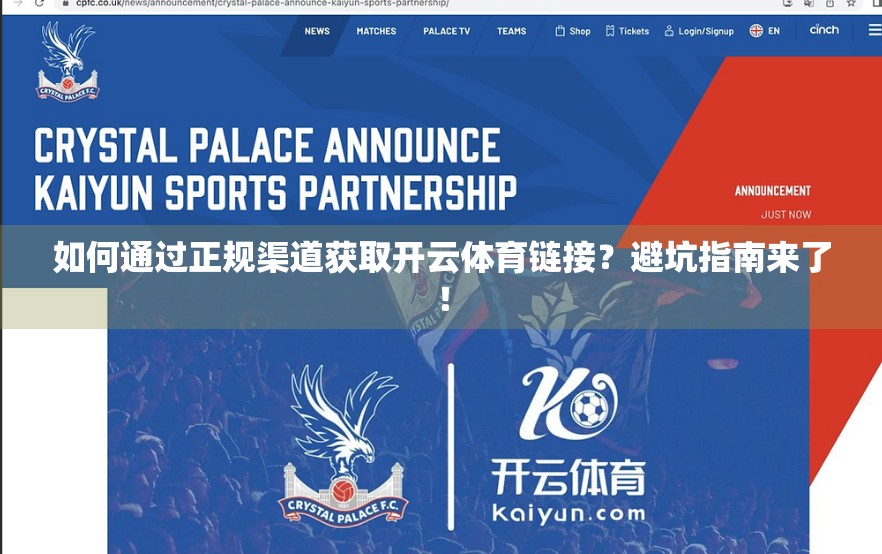 如何通过正规渠道获取开云体育链接？避坑指南来了！