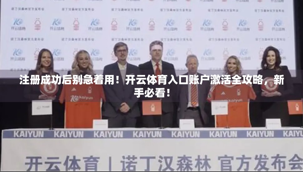 注册成功后别急着用！开云体育入口账户激活全攻略，新手必看！