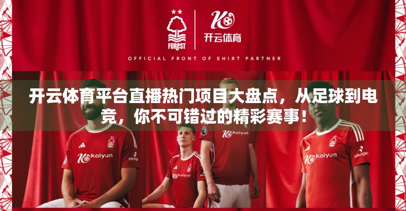 开云体育平台直播热门项目大盘点，从足球到电竞，你不可错过的精彩赛事！