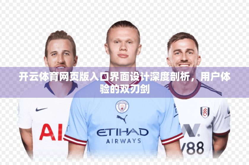 开云体育网页版入口界面设计深度剖析，用户体验的双刃剑