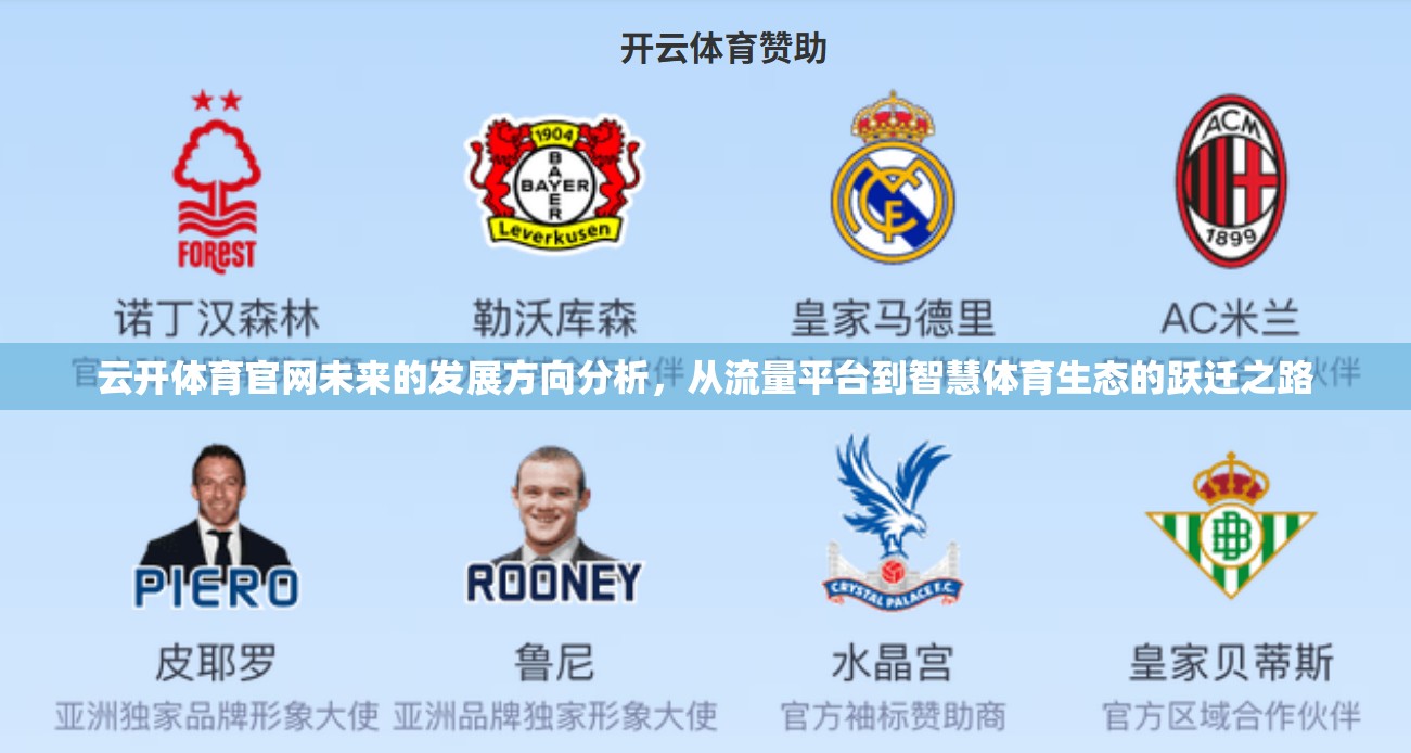 云开体育官网未来的发展方向分析，从流量平台到智慧体育生态的跃迁之路
