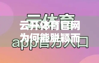 云开体育官网为何能脱颖而出？揭秘它与其他体育平台的五大核心差异与独特优势