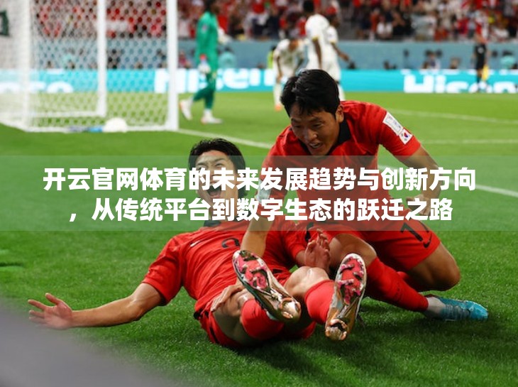 开云官网体育的未来发展趋势与创新方向，从传统平台到数字生态的跃迁之路