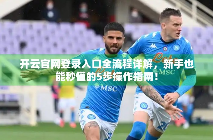 开云官网登录入口全流程详解，新手也能秒懂的5步操作指南！