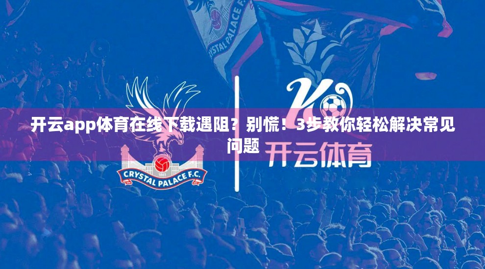 开云app体育在线下载遇阻？别慌！3步教你轻松解决常见问题