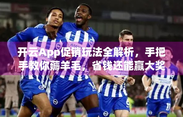 开云App促销玩法全解析，手把手教你薅羊毛，省钱还能赢大奖！