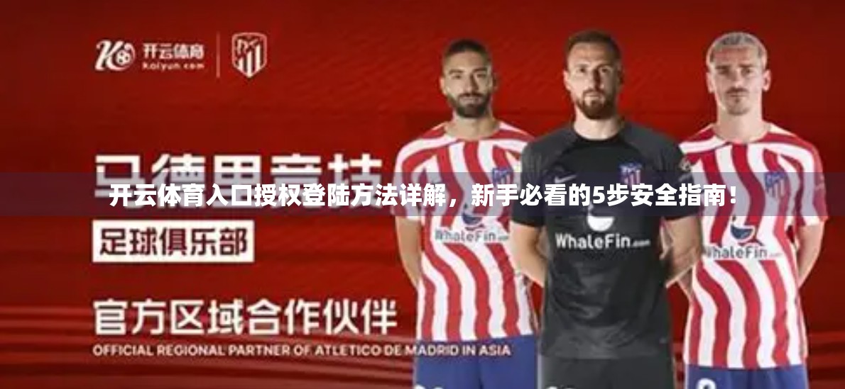 开云体育入口授权登陆方法详解，新手必看的5步安全指南！