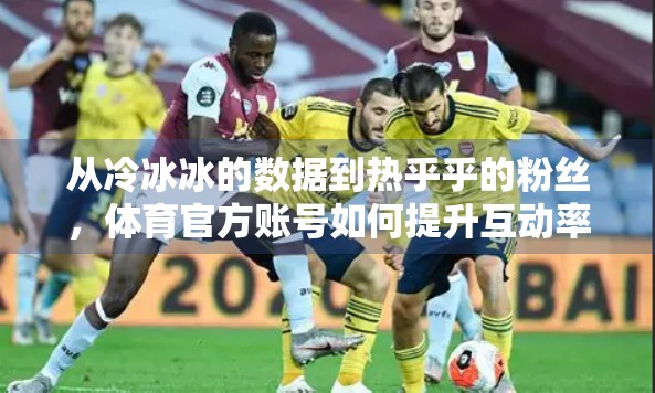 从冷冰冰的数据到热乎乎的粉丝，体育官方账号如何提升互动率？