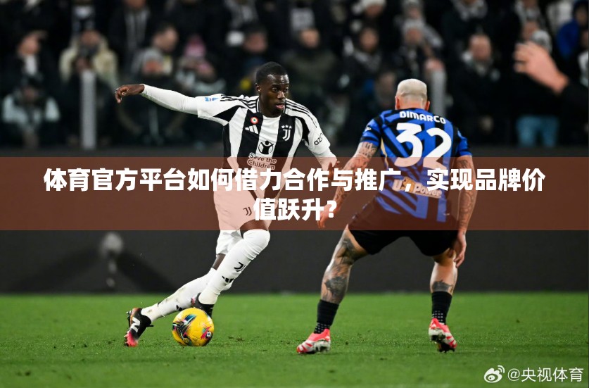 体育官方平台如何借力合作与推广，实现品牌价值跃升？